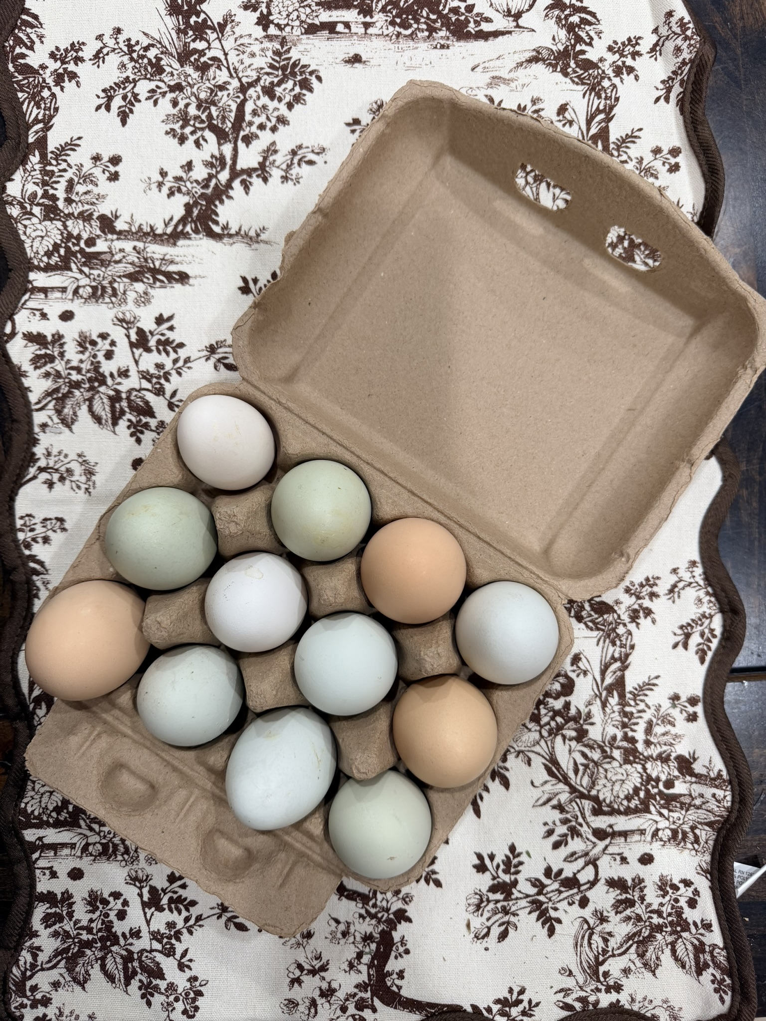 An open carton of ungraded eggs in green, blue, cream and brown